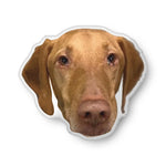 Custom Shaped Pillow from Your Photo | Personalized Face Pillow, Pet Pillow, Funny Gift, Custom Photo Cushion, Unique Gift