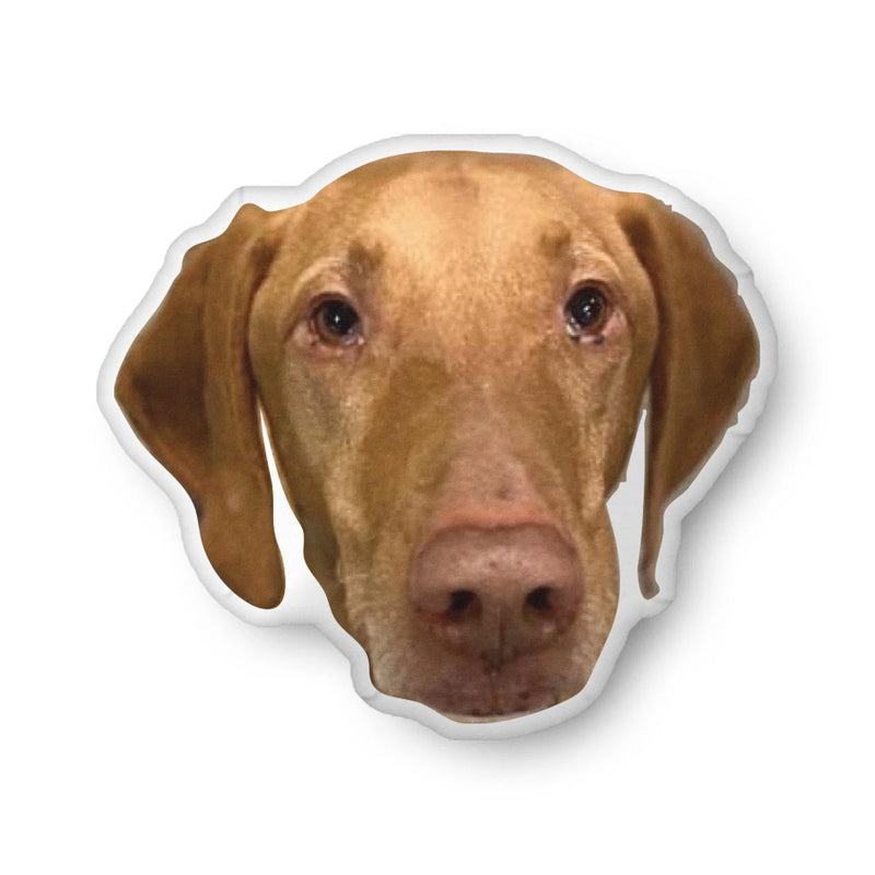 Custom Shaped Pillow from Your Photo | Personalized Face Pillow, Pet Pillow, Funny Gift, Custom Photo Cushion, Unique Gift
